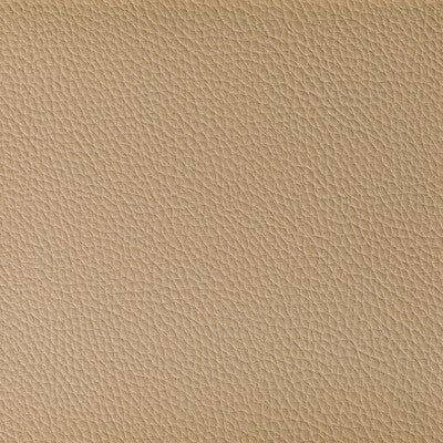 KRAVET CONTRACT BOONE.16.0 BOONE DUNE Fabric - Eade's Wallpaper