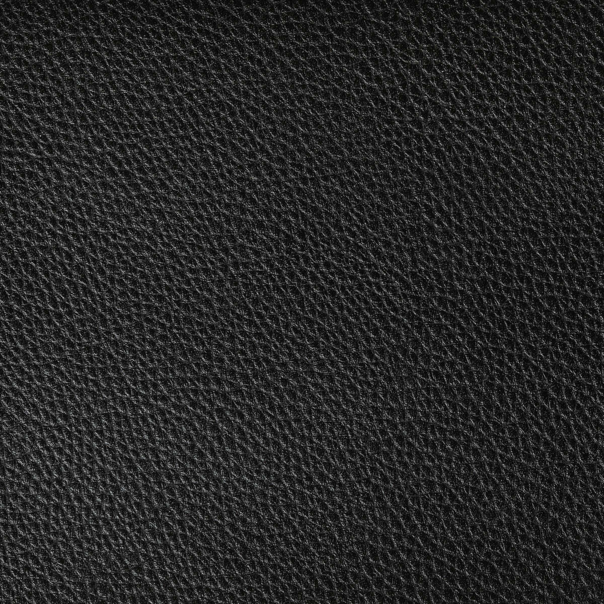 KRAVET CONTRACT BOONE.8.0 BOONE STALLION Fabric - Eade's Wallpaper