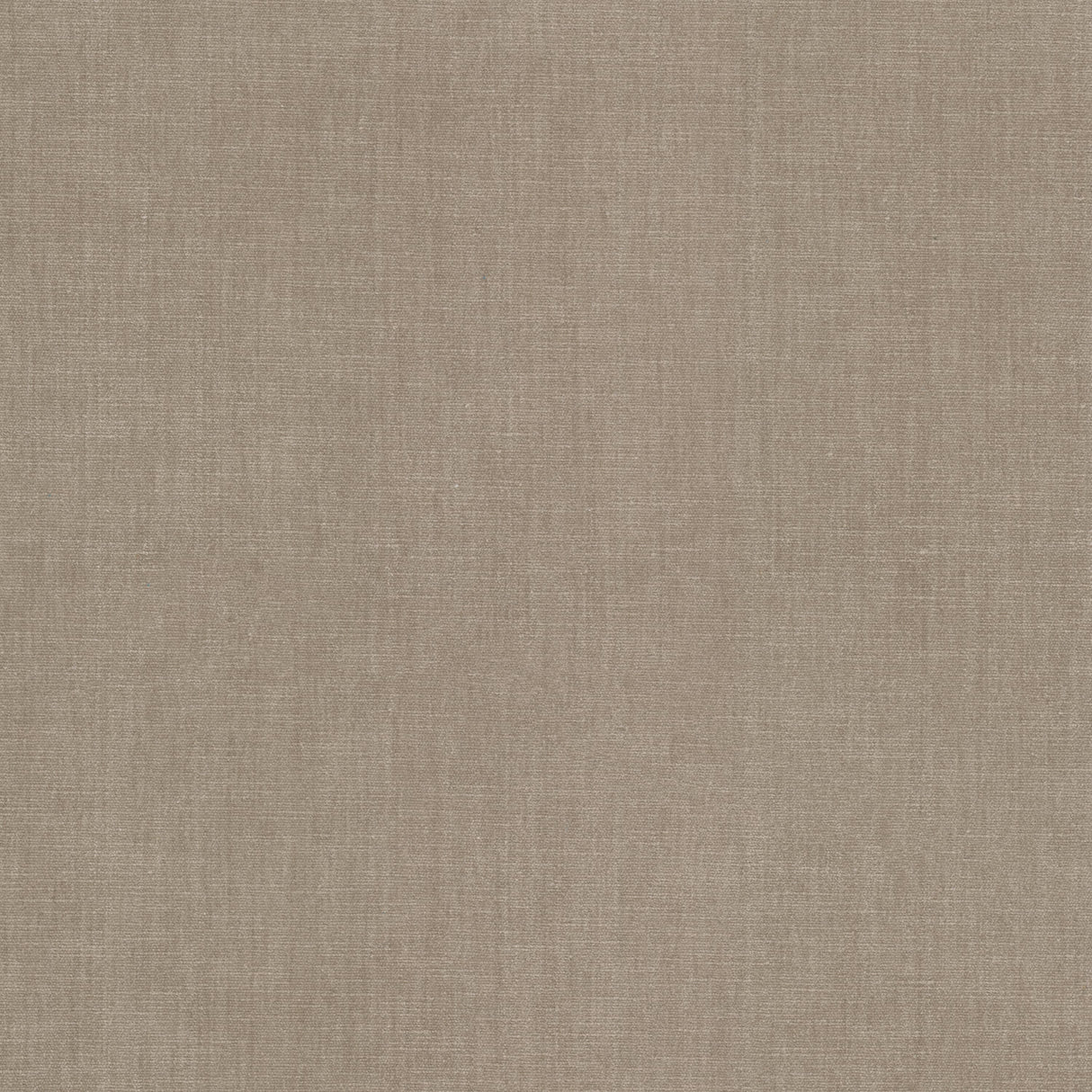 Eade's BOUN-18-sample CASHEW