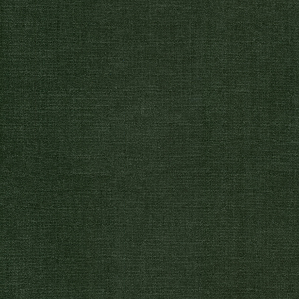 Eade's BOUN-28-sample JUNGLE