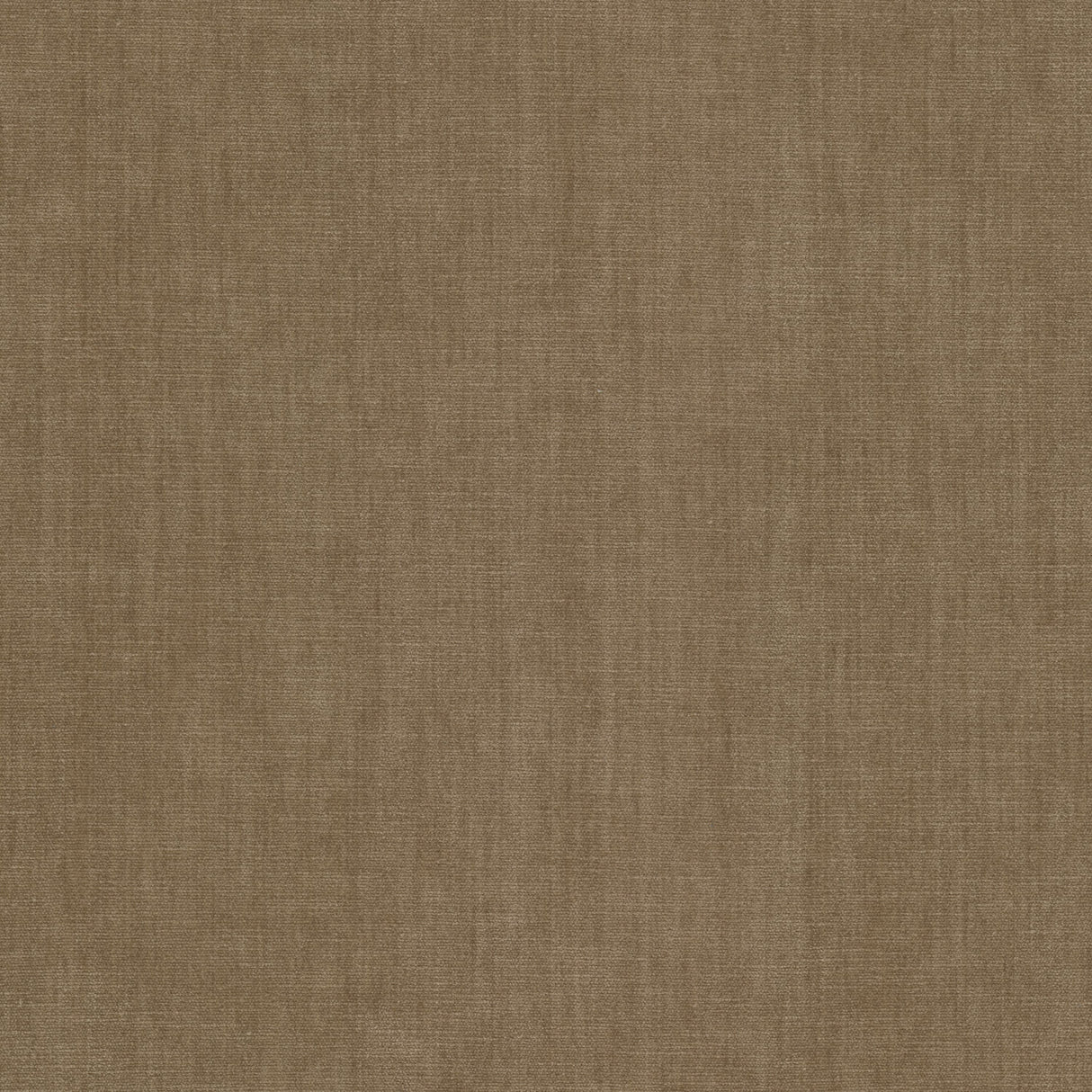 Eade's BOUN-33-sample RAFFIA