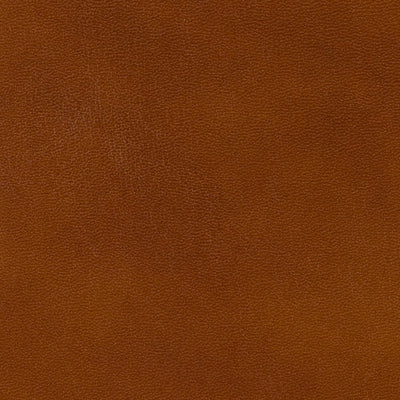 BRUNSCHWIG & FILS BR-20009.839.0 OLD ENGLISH ANTIQUES LEATHER BRANDY Fabric - Eade's Wallpaper