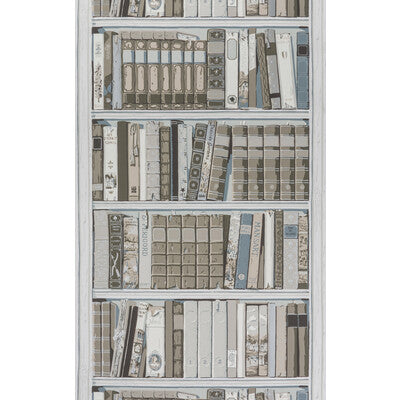 BRUNSCHWIG & FILS BR-69080.11.0 BIBLIOTHEQUE GREIGE Wallpaper - Eade's Wallpaper