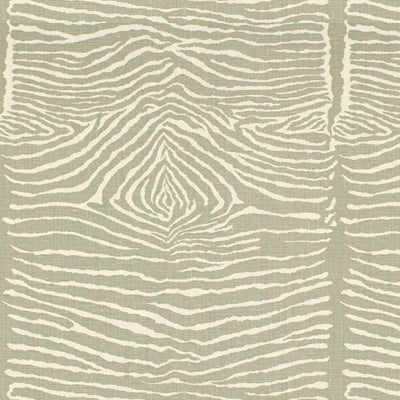 BRUNSCHWIG & FILS BR-79168.11.0 LE ZEBRE PEWTER Fabric - Eade's Wallpaper