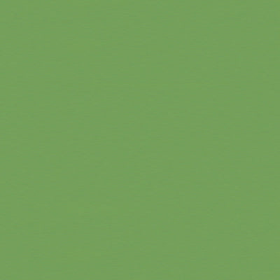 BRUNSCHWIG & FILS BR-81079.Y.0 SATIN LA TOUR VERT Fabric - Eade's Wallpaper