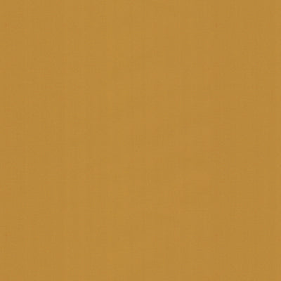 BRUNSCHWIG & FILS BR-81081.307.0 NINON TAFFETAS BLONDE Fabric - Eade's Wallpaper