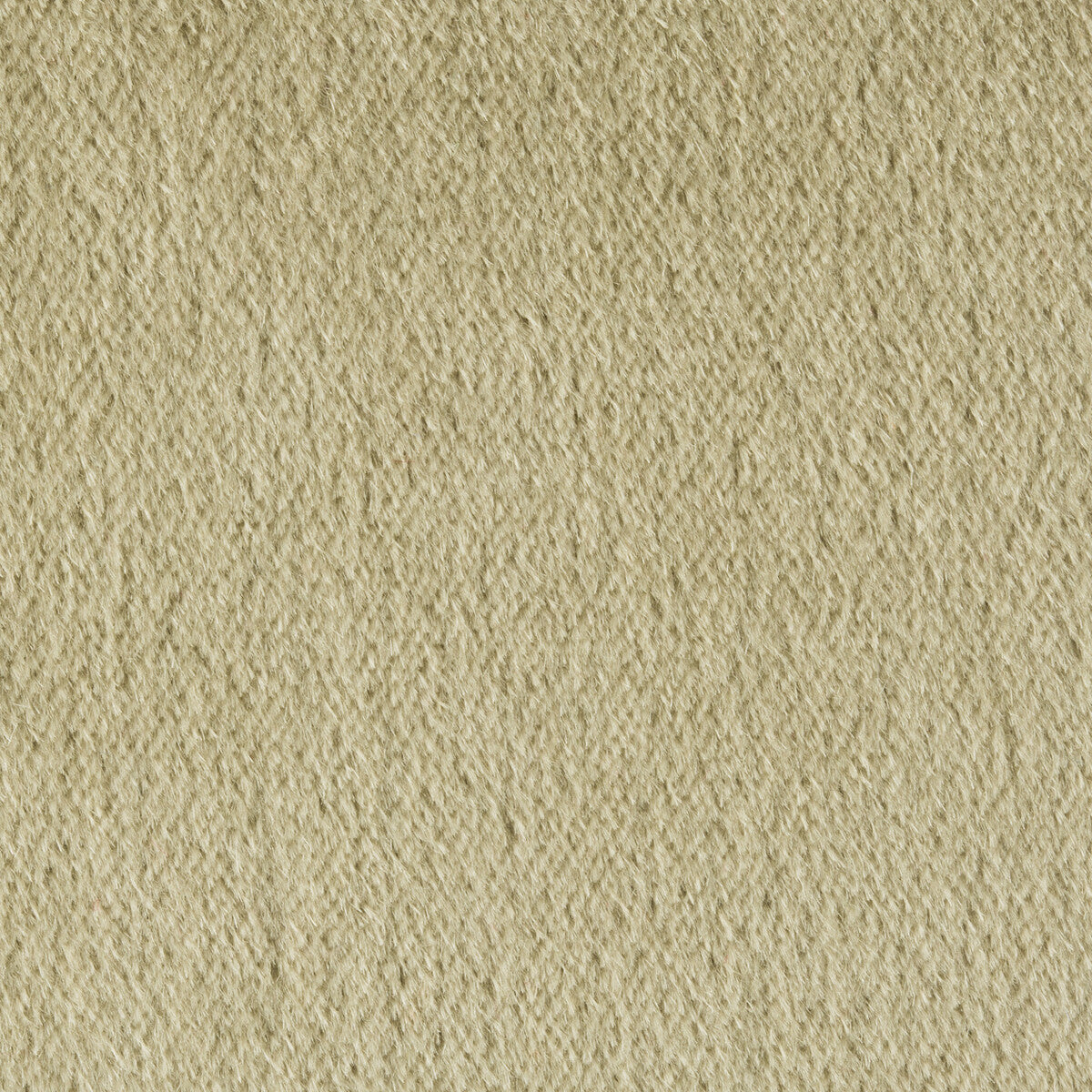 BRUNSCHWIG & FILS BR-89778.311.0 AUTUN MOHAIR VELVET EUCALYPTUS Fabric - Eade's Wallpaper