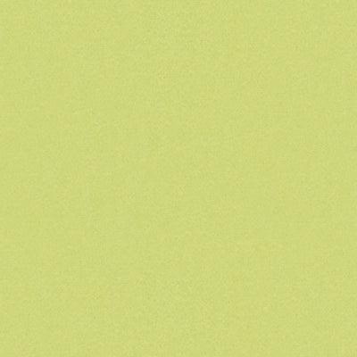 BRUNSCHWIG & FILS BR-89778.404.0 AUTUN MOHAIR VELVET CELERY Fabric - Eade's Wallpaper