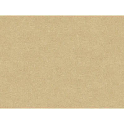 BRUNSCHWIG & FILS BR-89779.005.0 LUBECK COTTON VELVET OYSTER Fabric - Eade's Wallpaper