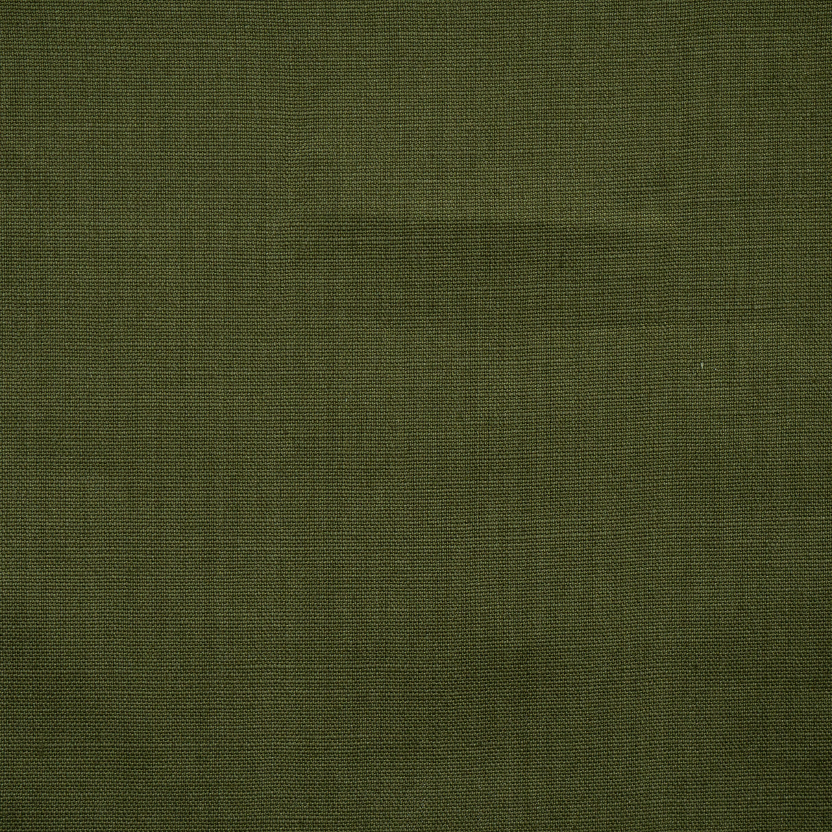 Eade’s # 339 OLIVE