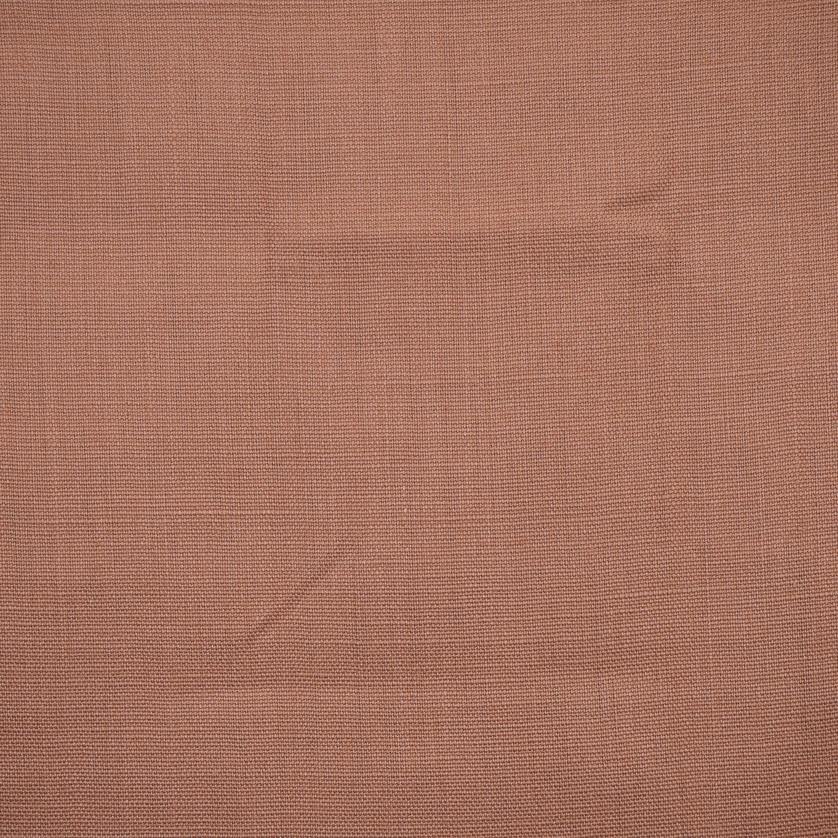 Eade’s # 732 WOODROSE