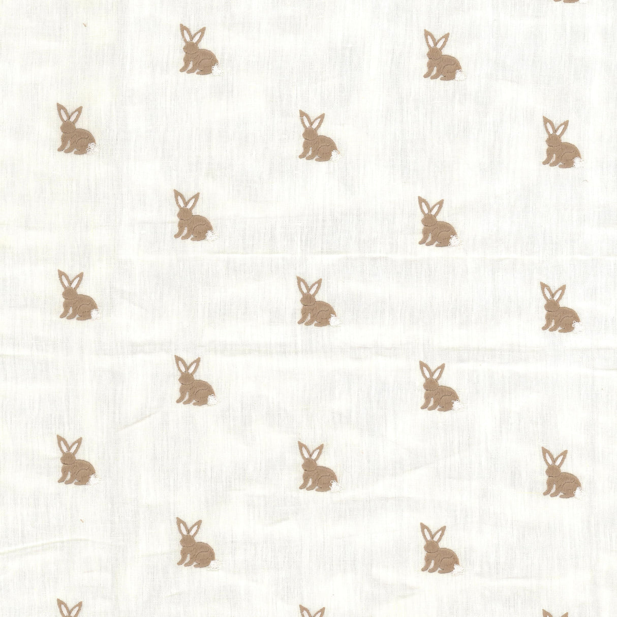 Eade's BUDD-1-sample JUTE