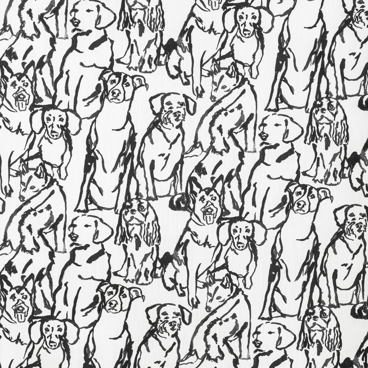KRAVET BASICS BUDDY.1101.0 KRAVET BASICS BUDDY-1101 Fabric - Eade's Wallpaper