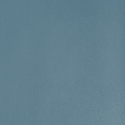 KRAVET DESIGN KRAVET DESIGN BUFF.155.0 in BUFF-155 Fabric -