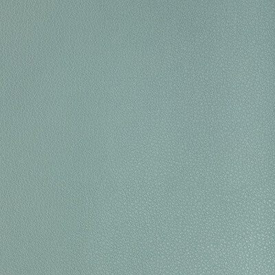 KRAVET DESIGN KRAVET DESIGN BUFF.313.0 in BUFF-313 Fabric -