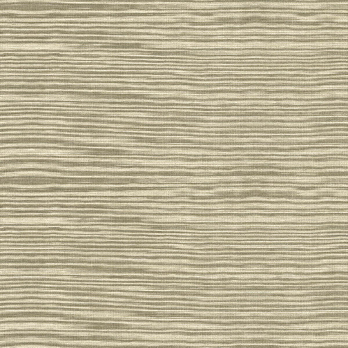 Seabrook Designs BV30425 Wallpaper - Eade's Wallpaper & Fabric