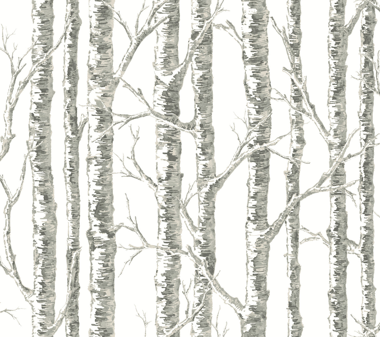 York BW3901 Paper Birch White & Grey Wallpaper