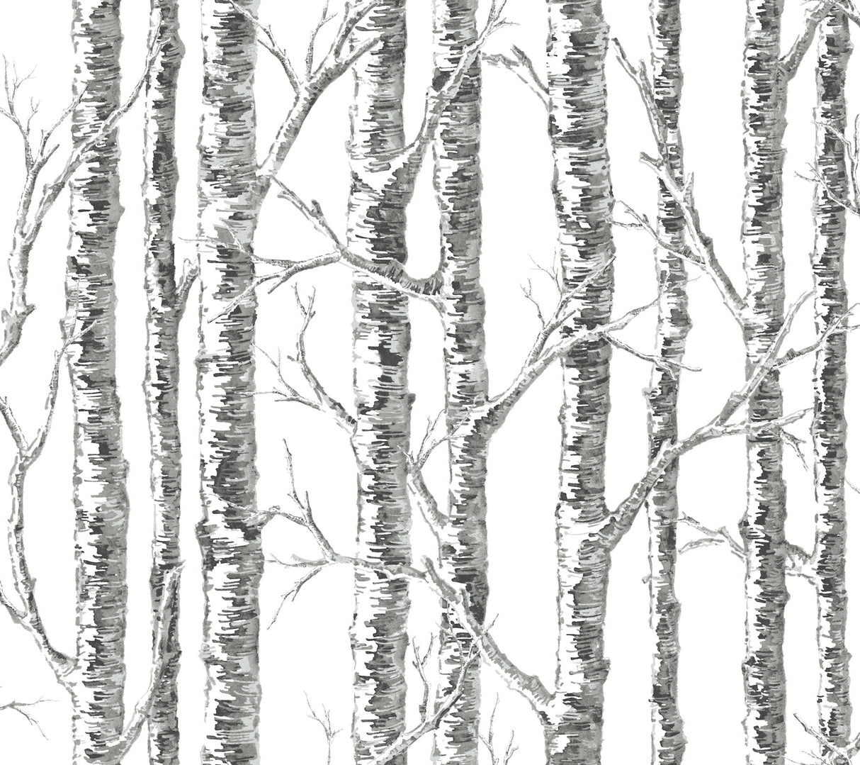 York BW3902 Paper Birch Black & White Wallpaper