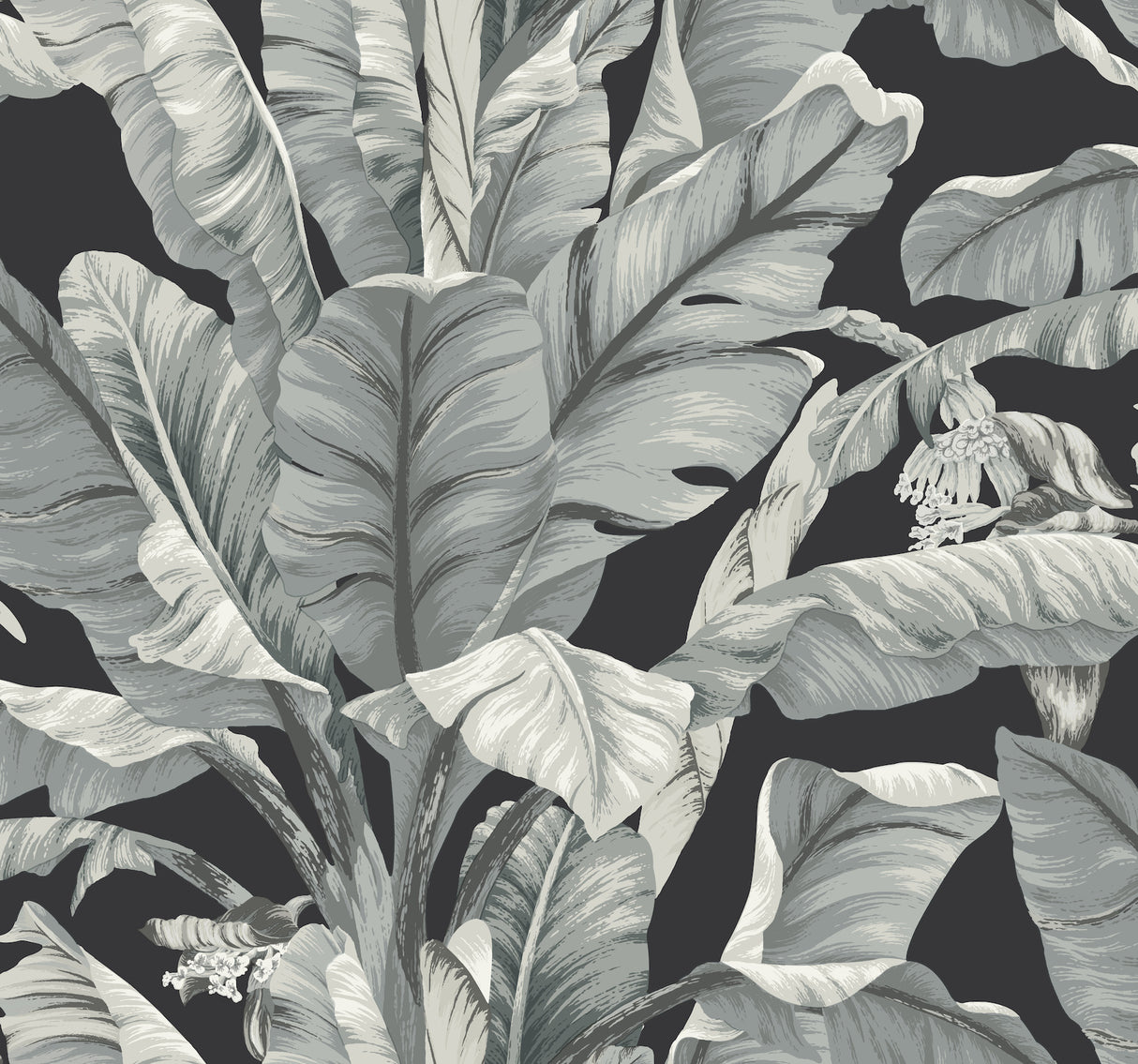 York BW3971 Banana Leaf Black & White Wallpaper