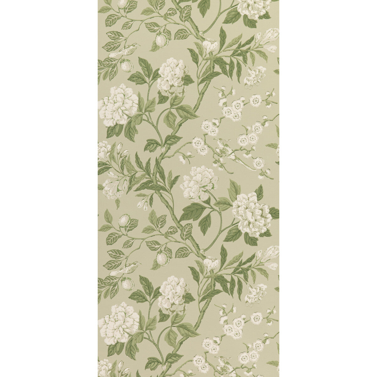 G P & J BAKER BW45000.10.0 EMPEROR'S GARDEN SOFT GREEN Wallpaper - Eade's Wallpaper