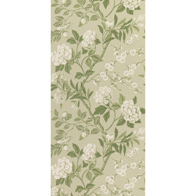 G P & J BAKER BW45000.10.0 EMPEROR'S GARDEN SOFT GREEN Wallpaper - Eade's Wallpaper