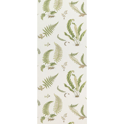 G P & J BAKER BW45044.10.0 FERNS LEAF Wallpaper - Eade's Wallpaper