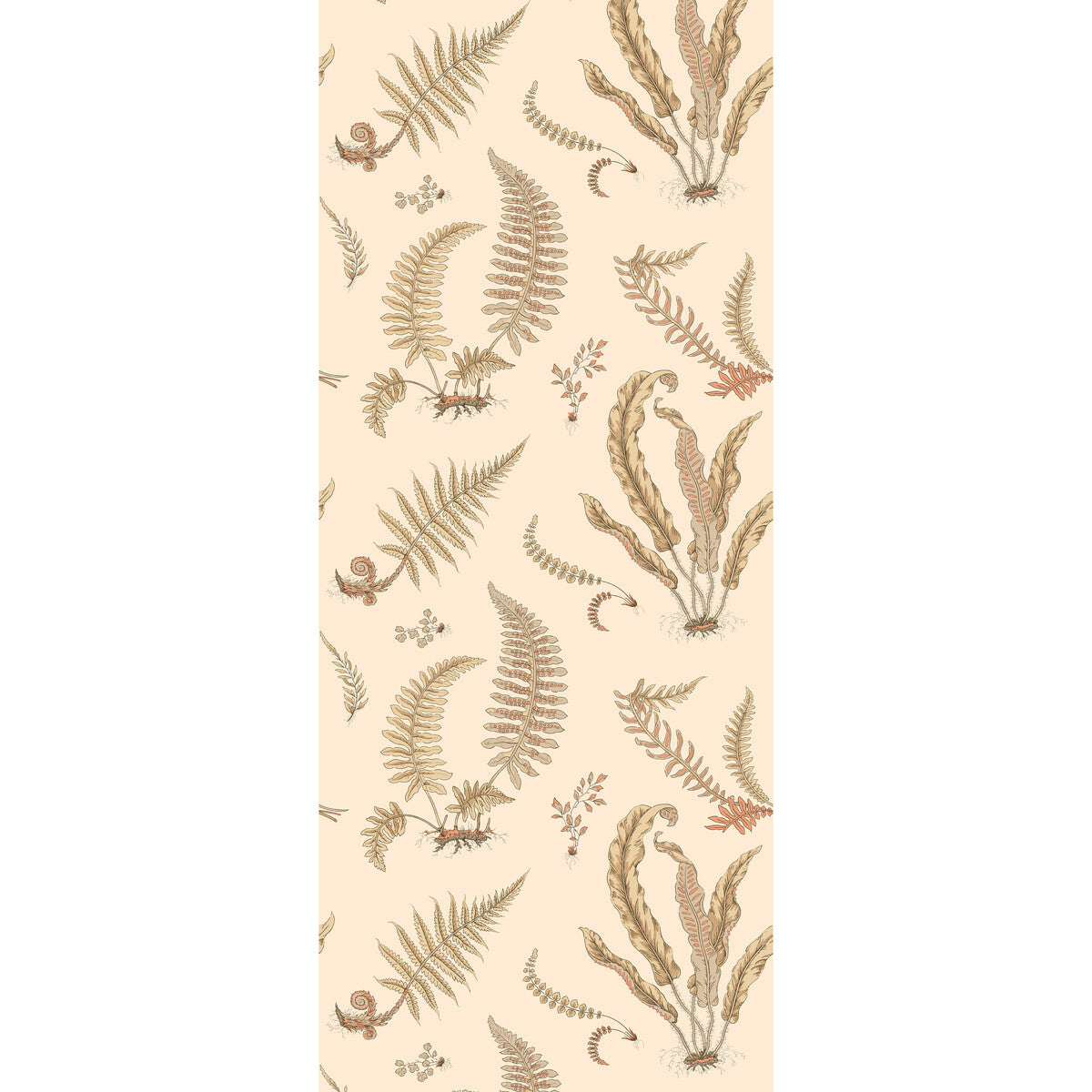 G P & J BAKER BW45122.2.0 FERNS PARCHMENT Wallpaper - Eade's Wallpaper