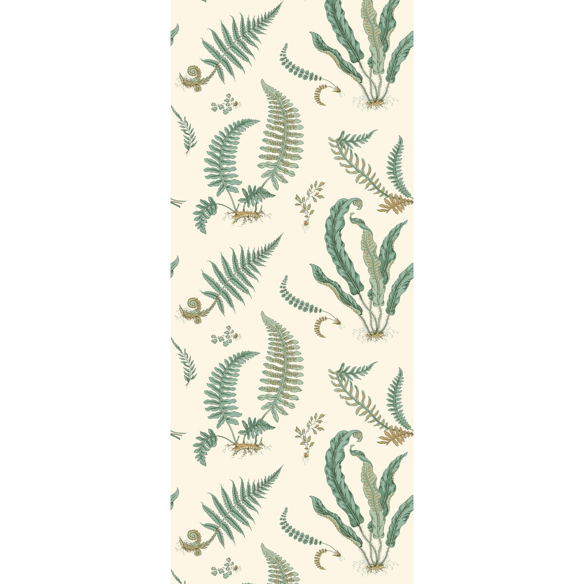 G P & J BAKER BW45122.4.0 FERNS VERDIGRIS Wallpaper - Eade's Wallpaper