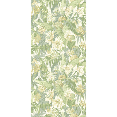 G P & J BAKER BW45132.4.0 TROPICAL FLORAL SOFT GREEN Wallpaper - Eade's Wallpaper
