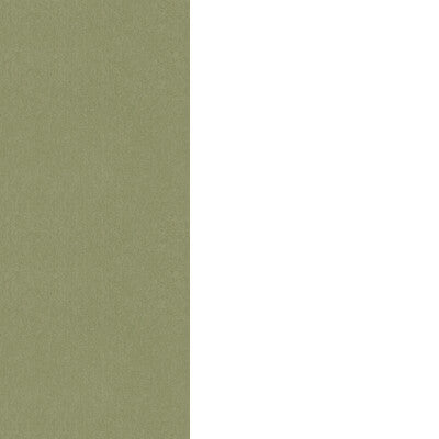 G P & J BAKER CUBBY BW45168.736.0 in GRASS Wallpaper - G P &