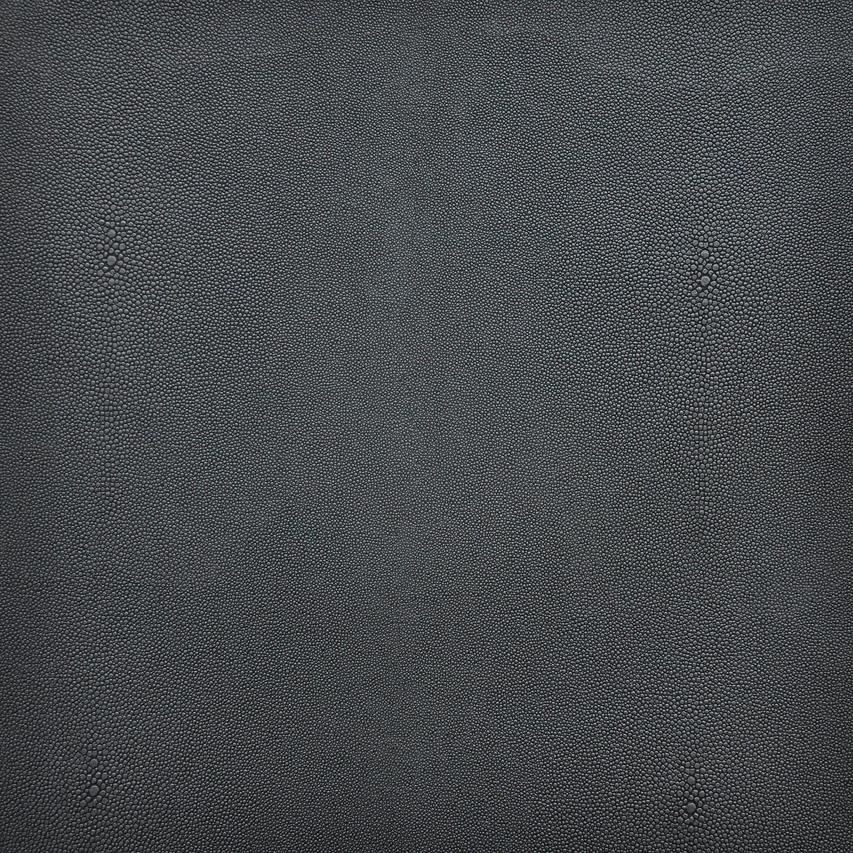 Eade’s # 240 SHADOW