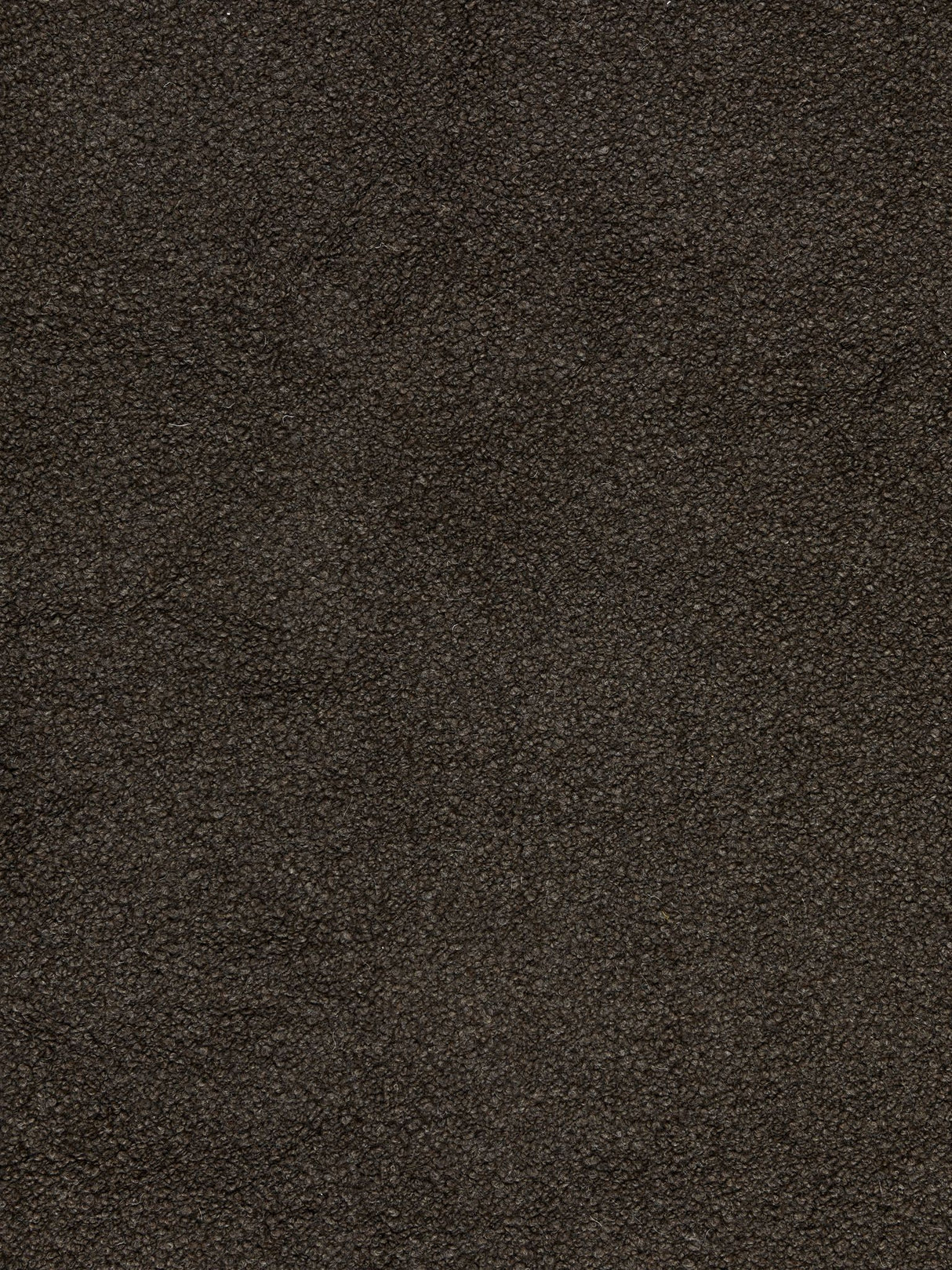 Scalamandre BZ 0003A501 ASH BROWN MOUTON BOUCLE Fabric - Eade's Wallpaper