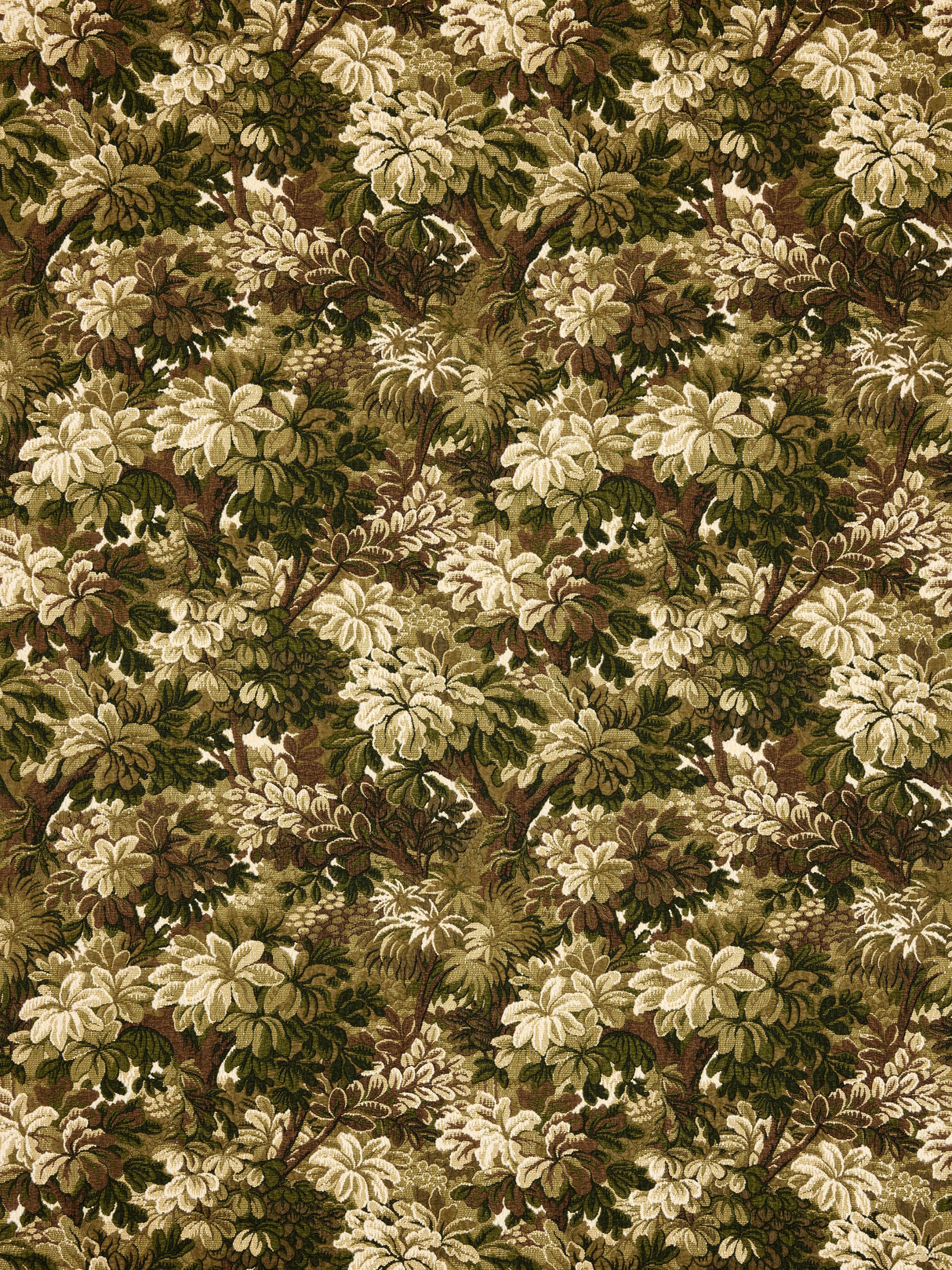 Scalamandre BZ 0036060C MOSS RIDGE EDGE Fabric - Eade's Wallpaper