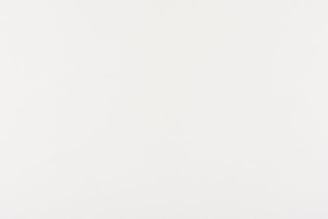 Scalamandre C5 0011PEBB WHITE CANVAS Fabric - Eade's Wallpaper