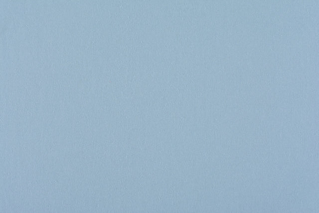 Scalamandre C5 0050PEBB BLUEBELL CANVAS Fabric - Eade's Wallpaper