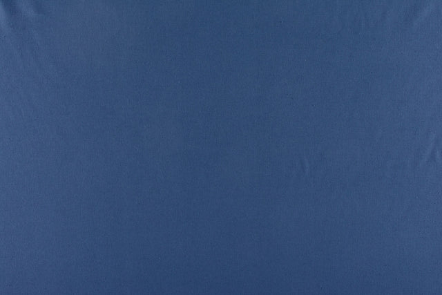 Scalamandre C5 0055PEBB NAVY CANVAS Fabric - Eade's Wallpaper