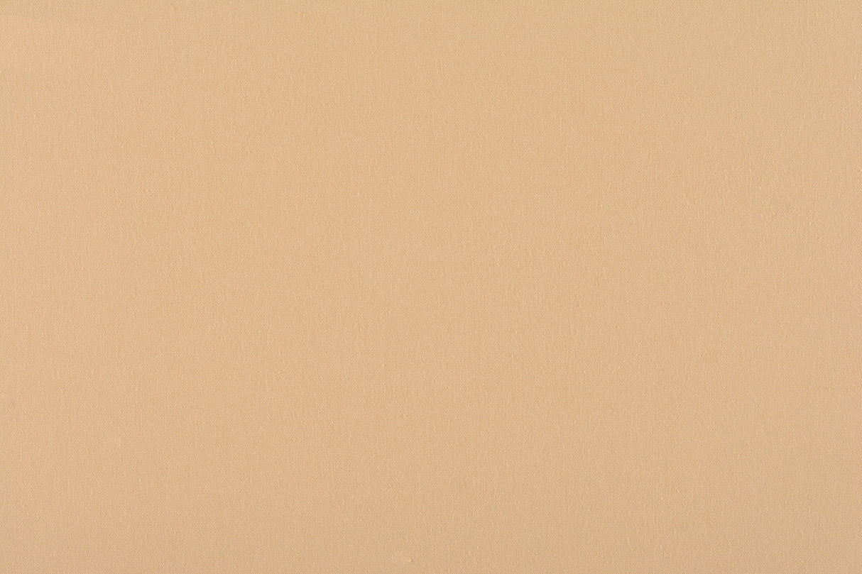 Scalamandre C5 0102PEBB SAND CANVAS Fabric - Eade's Wallpaper
