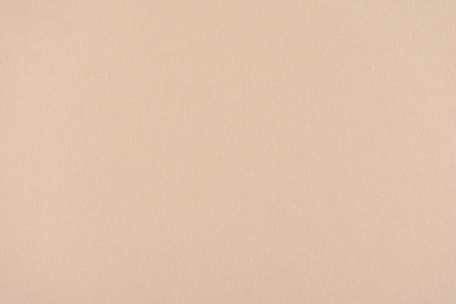 Scalamandre C5 0199PEBB LATTE CANVAS Fabric - Eade's Wallpaper