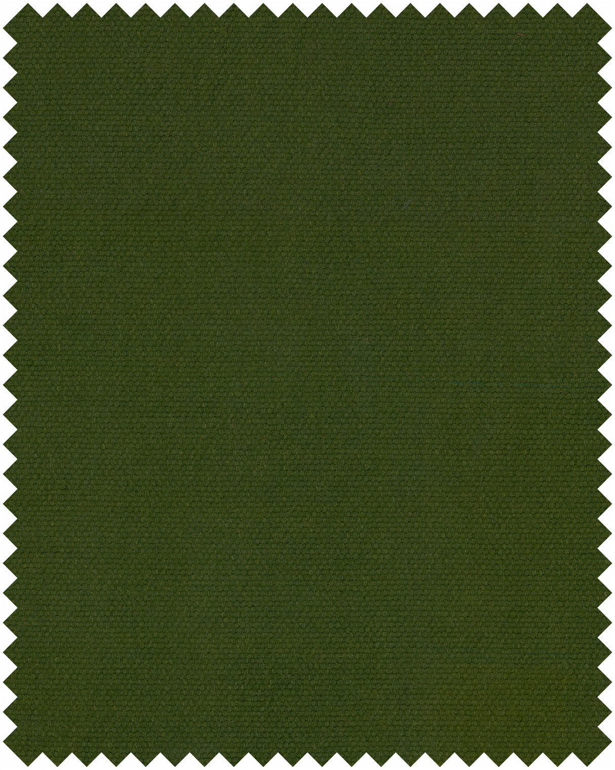 MindtheGap CACTUS - PLAIN FABRICS COLLECTION 2023