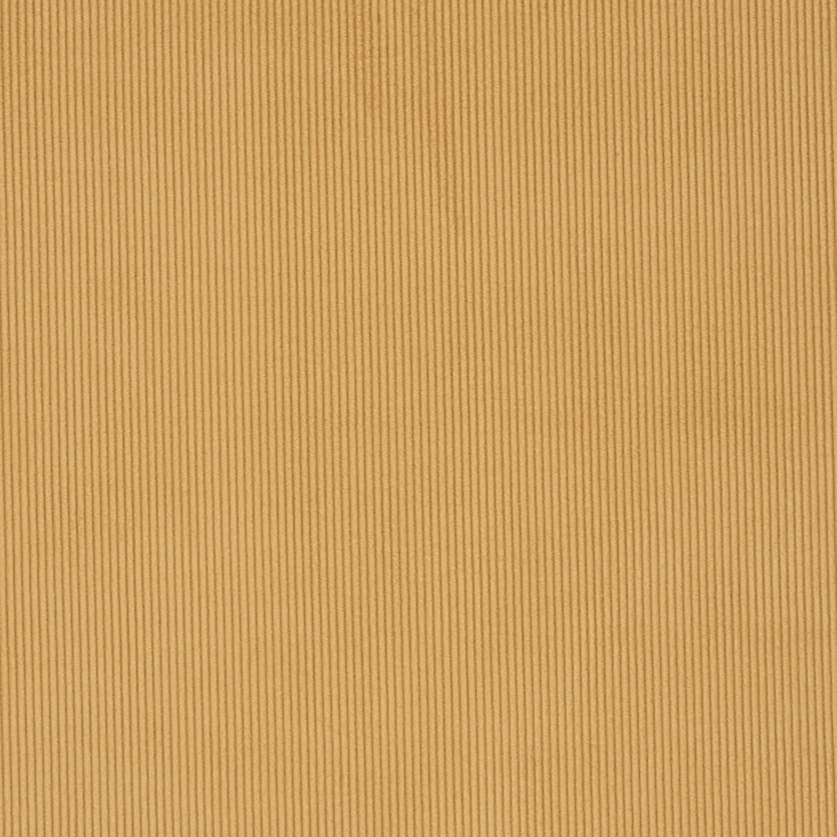 Crypton 16-J7031 CAMPBELL Fabric - Eade's Wallpaper & Fabric