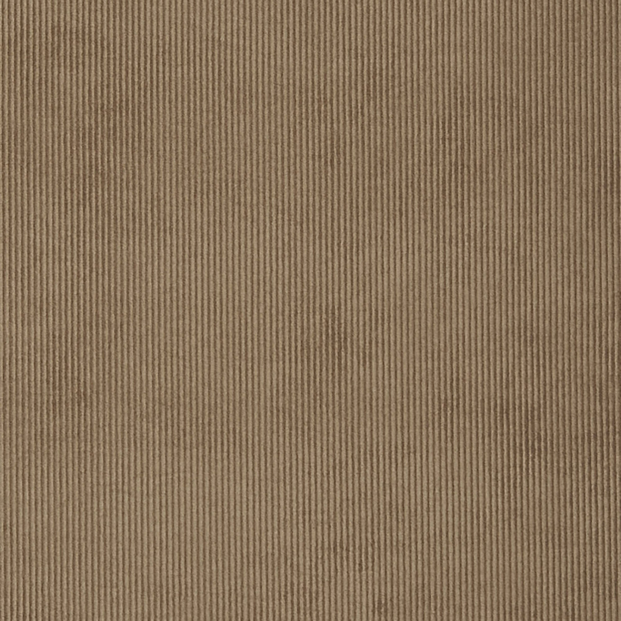 Crypton 34-J7031 CAMPBELL Fabric - Eade's Wallpaper & Fabric