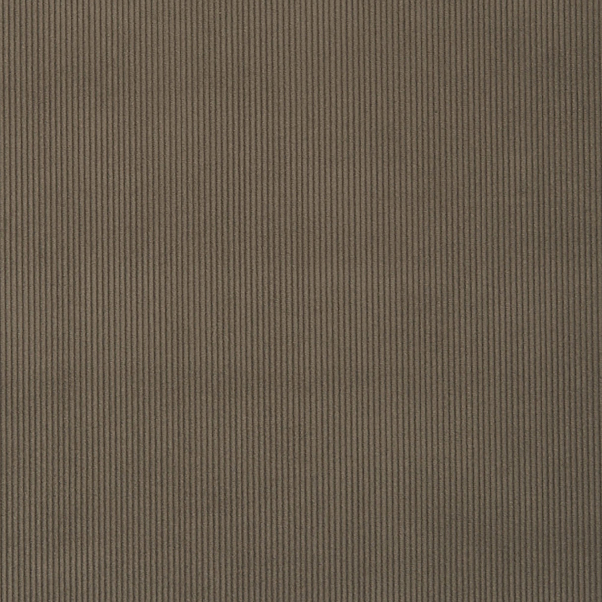 Crypton 97-J7031 CAMPBELL Fabric - Eade's Wallpaper & Fabric