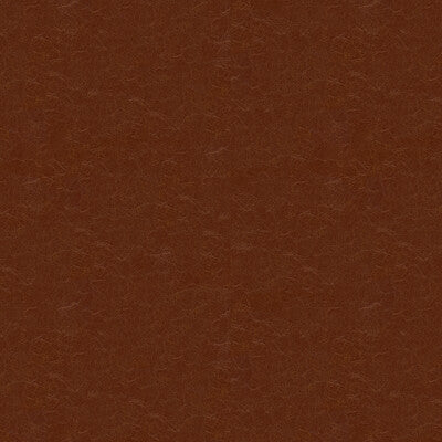 KRAVET COUTURE CAPTURED.606.0 CAPTURED CAPPUCIO Fabric - Eade's Wallpaper