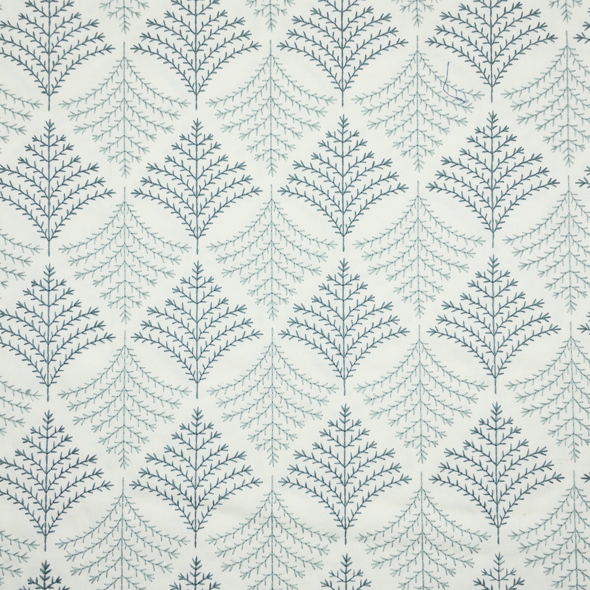 Eade's CAPY-2-sample JASMINE