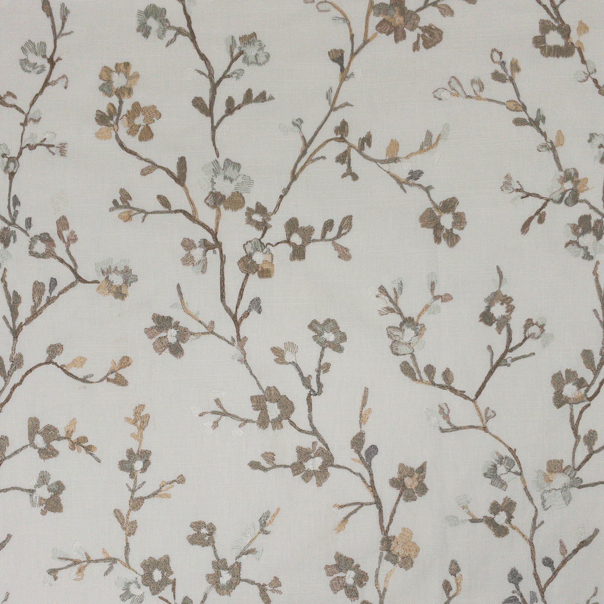 Eade's CARA-3-sample MUSHROOM