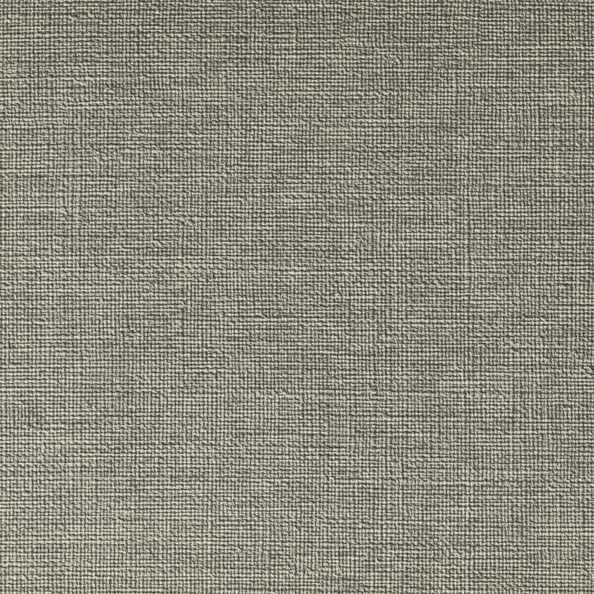 KRAVET CONTRACT CASLIN.16.0 CASLIN HEMP Fabric - Eade's Wallpaper