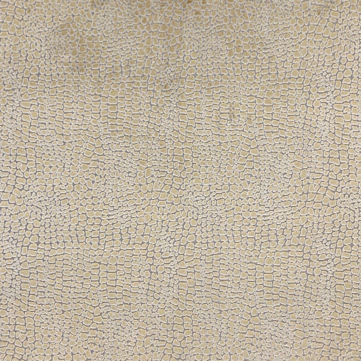 Eade’s CAYMAN HONEY HONEY