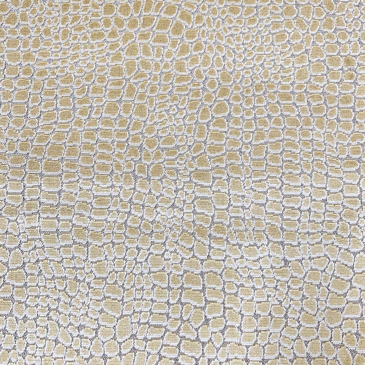 Eade’s CAYMAN HONEY HONEY