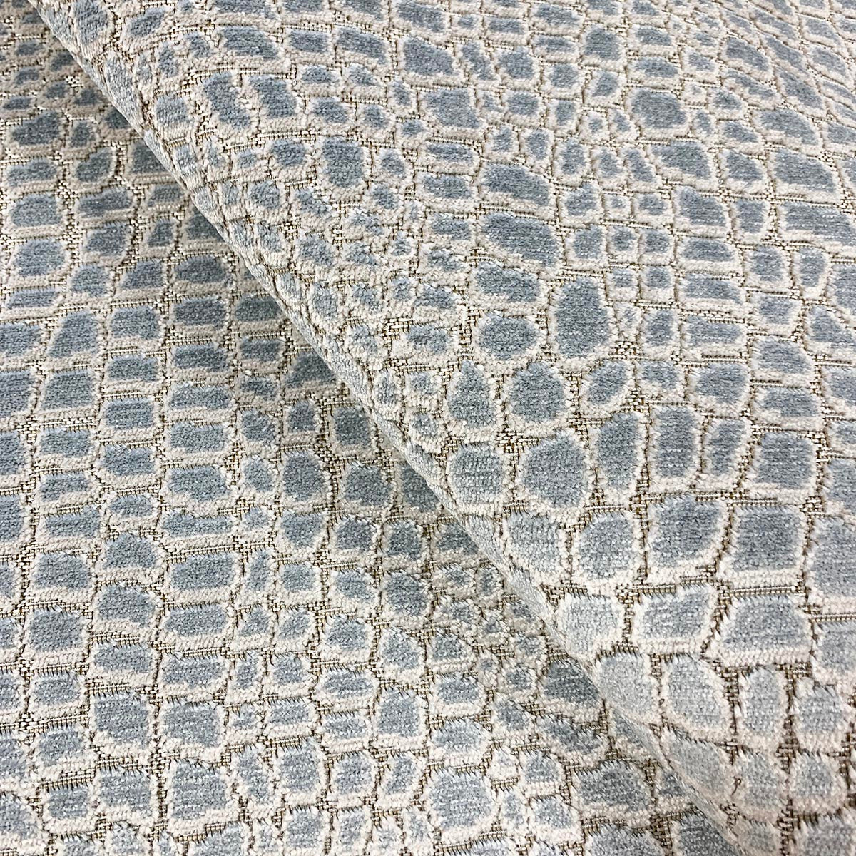 Eade’s CAYMAN SKY SKY