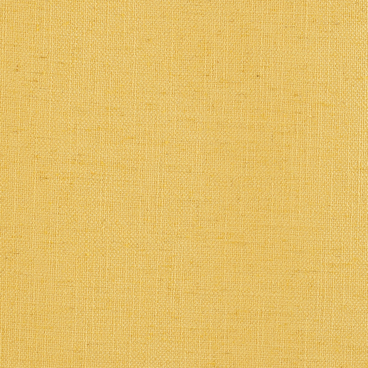 Mitchell MB FF-2302-46 Solid Fleming-Harvest - Eade's Wallpaper